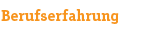 Berufserfahrung